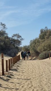 2023-GC-Dunas_Maspalomas-149.jpg